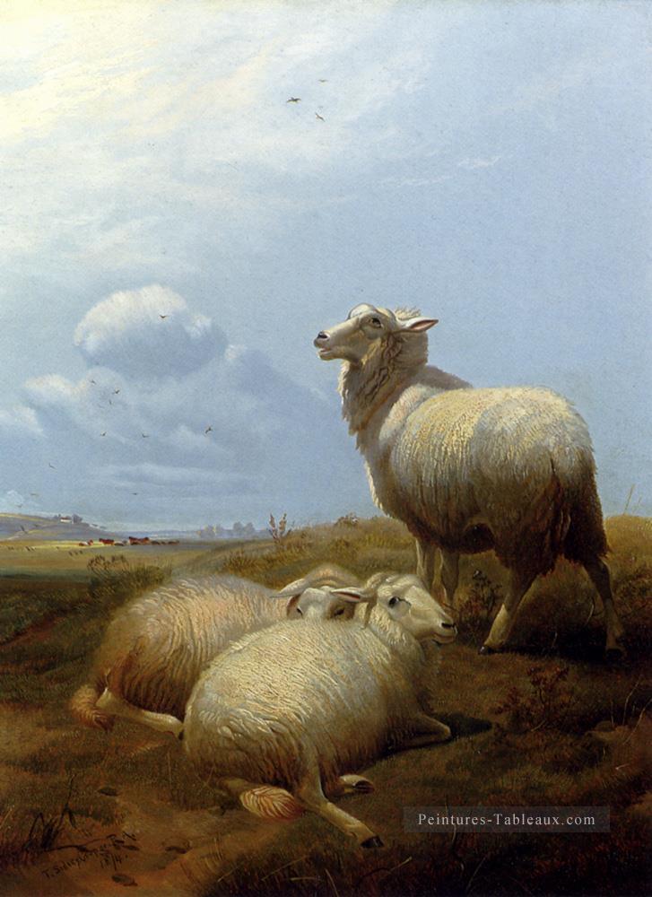 Moutons au pâturage animaux de ferme moutons Thomas Sidney Cooper Peintures à l'huile